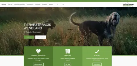 Website-Referenz Tierarztpraxis Wendland