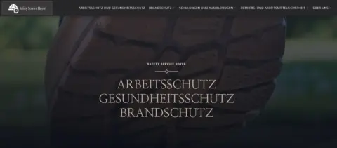 Website-Referenz Safety Service Hoyer